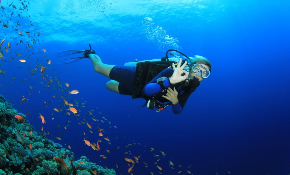 Top Scuba Diving Spots in India for Adventure Seekers